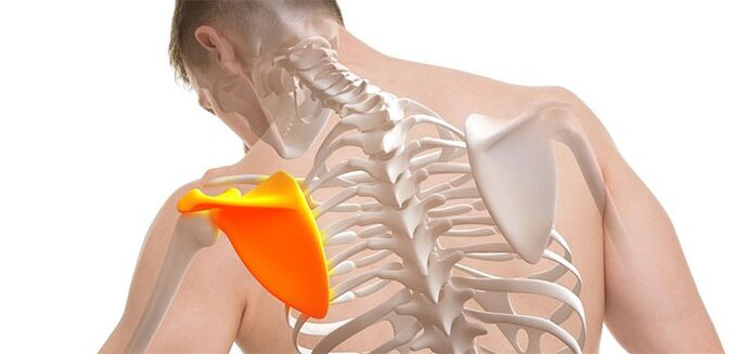 Back pain in the shoulder area